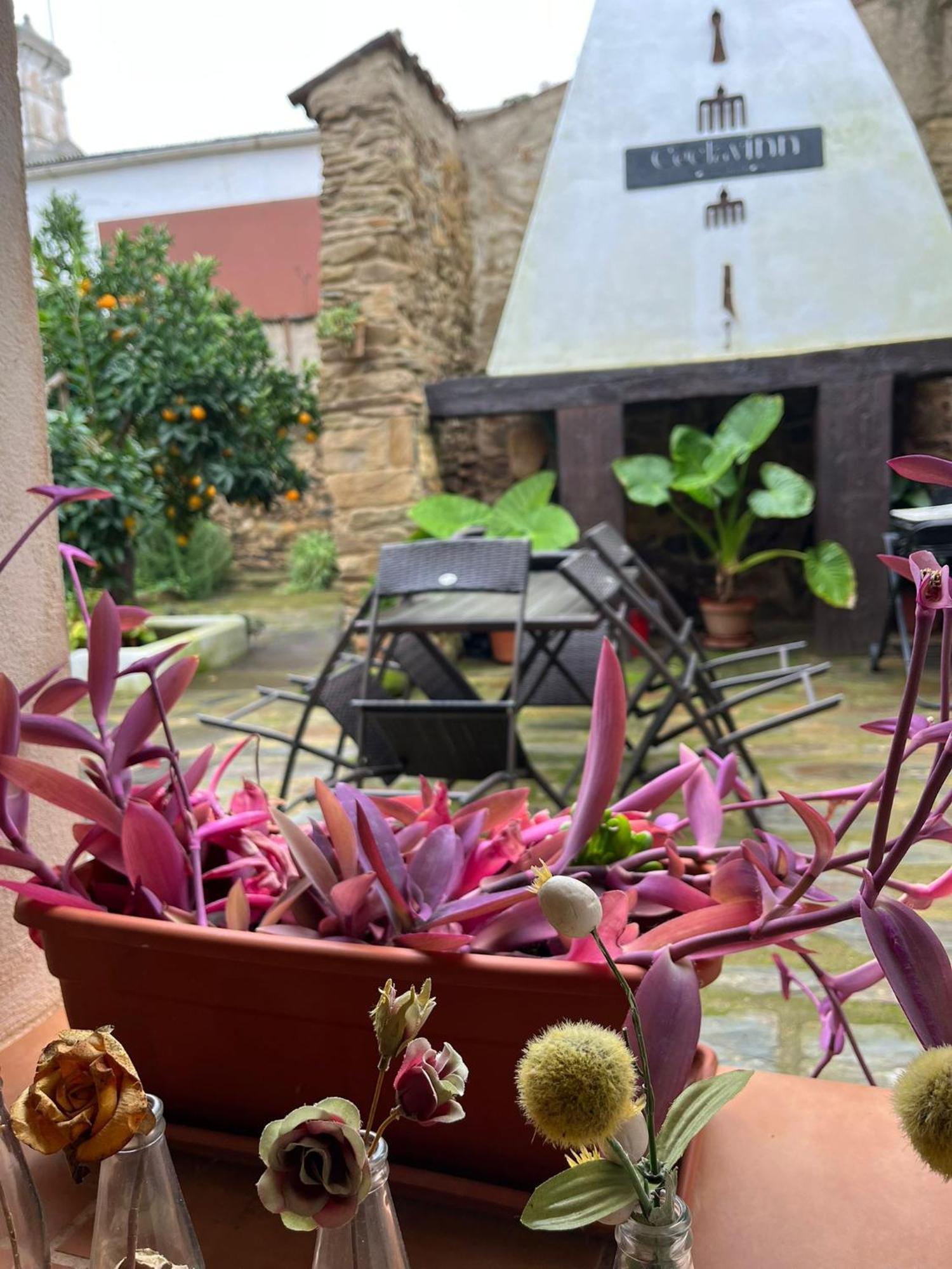 Ceclavinn Appartement Ceclavin